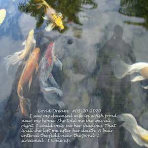Covid Dreams by Alan Powell, Image 7.