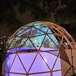 UnderStory by Alan Powell  Image: "understory": Alan Powell was the producer/  director on this project 3 channel video installation . present at the Ekins Oval , Philadelphia Museum of Art
