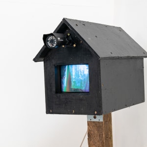 Video Birdhouse by Alan Powell 