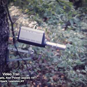 ArtPark 1977 by Alan Powell, Image 9.