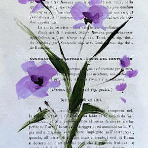 Window Box by Lauren Bolshakov 