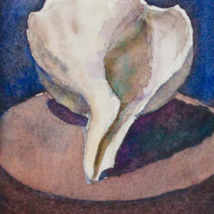 Seashell by Brenna O'Toole