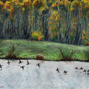 Autumn Landing by Penn A. Tomassetti
