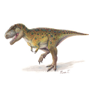 Tyrannosaurus Rex by Penn A. Tomassetti