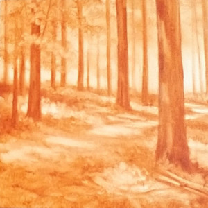 "Woodland Shadows" by Elaine Guitar  