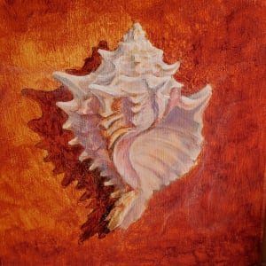 "Shell #6" by Elaine Guitar 