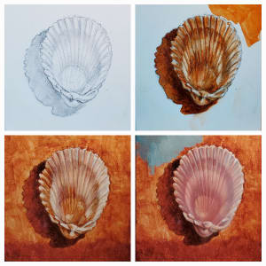 "Shell #2" by Elaine Guitar   Image: Stages of a painting. 