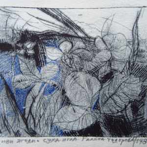 Wild Strawberry by Galina Todorova 