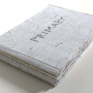 Primary by Janine Brown, Image 3.