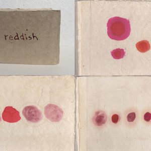 Primary by Janine Brown, Image 4.