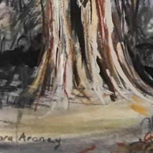 Ficus Warriors by Barbara Aroney 