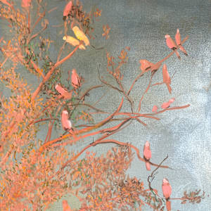 Galah Sunset by Barbara Aroney, Image 3.