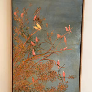 Galah Sunset by Barbara Aroney, Image 4.