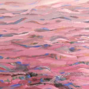 Pink Expanse by Barbara Aroney