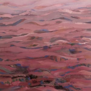 Pink Expanse by Barbara Aroney 