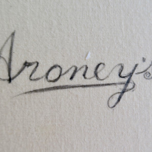 Aroney's by Barbara Aroney 