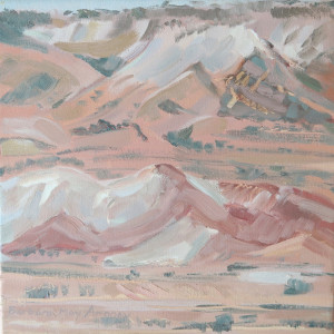 Painted Desert Study by Barbara Aroney 