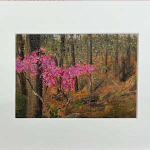 Forest Standout by Kate Emery