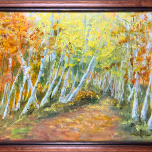 Birch Lit Path by Kate Emery 