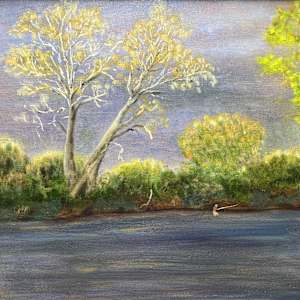 Twin Sycamores by Kate Emery