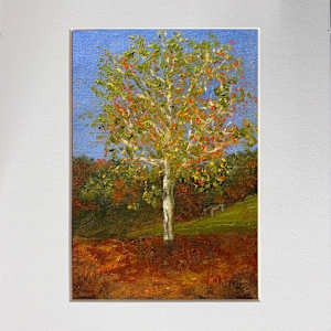 Sycamore by Kate Emery, Image 2.