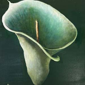 Calla Lily by Kate Emery
