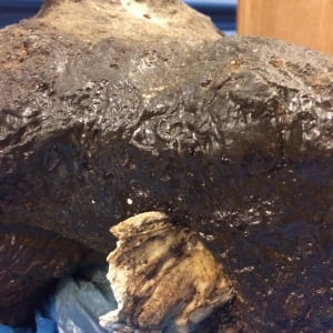 Untitled (Hole) by David Nelson  