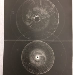 Spyrograph photograms 1 and 2 by David Nelson 