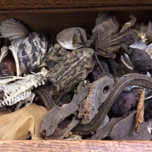 Untitled  by Unknown 