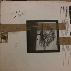 Untitled by Robert Mapplethorpe 