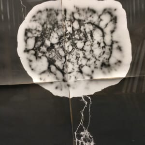 Untitled by David Nelson 