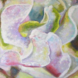 Cotyledon by Elizabeth Whiteman