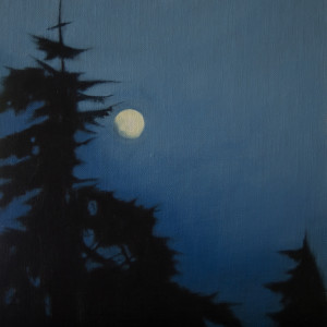 Moon Over Skagit by Lisa McShane