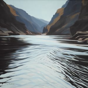 Salmon River by Lisa McShane