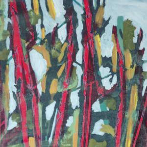 Catching the Trees by Justine Lasdin