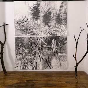 Allegro I-IV by Sarah Valeri