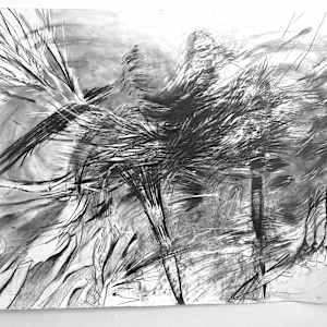 I vaguely remember walking on two legs by Sarah Valeri