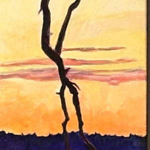 Descant Sunset by Stephen Cole Fine Art