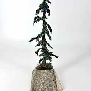 Rooted in Stone 1 by Stephen Cole Fine Art, Image 1.