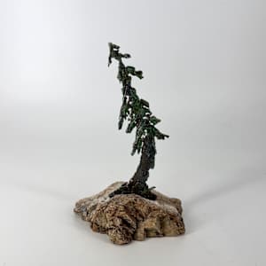 Rooted in Stone 7 by Stephen Cole Fine Art, Image 1.