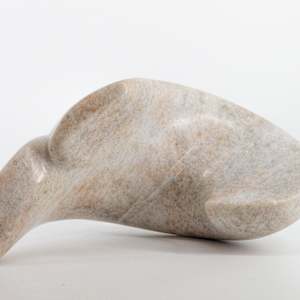 Roots by Stephen Cole Fine Art