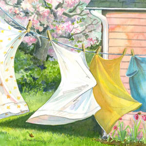 Zelda the too-pretty bat: The Clothesline