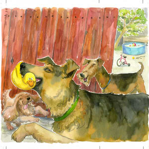 Doguadous 1 Cover  Image: Cover of the chapterbook "Un canard entre les canines", "Bébert et les Doguadous collection #1" ©2004 Raymond Plante, Les Éditions du Boréal, full paper