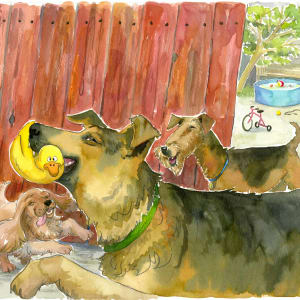 Doguadous 1 Cover  Image: Cover of the chapterbook "Un canard entre les canines", "Bébert et les Doguadous collection #1" ©2004 Raymond Plante, Les Éditions du Boréal, image uncropped