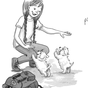 Bijou Needs a Home: Two Bichon Frisé Puppies greet Kat  Image: Illustration from chapterbook "The Puppy Collection #4: Bijou Needs a Home" ©2014 Susan Hughes, Scholastic Canada, p028-29 uncropped
