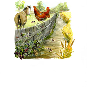 The Little Red Hen : I will harvest it myself  Image: I will harvest myself.
The Little Red Hen, p11 uncropped