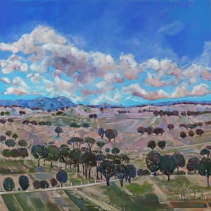 Beneath Cathedral skies by Belinda Wilson