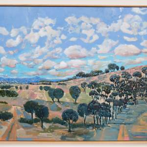 Distant horizon: Cathedral Ranges by Belinda Wilson