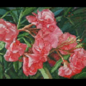 Oleander With a Tree Frog by Rosemarie Adcock 