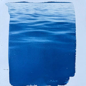 Cyanotype Suite by Krista Machovina 